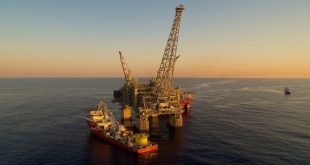 slid1 310x165 Petro Parda represntative of gemmecotti