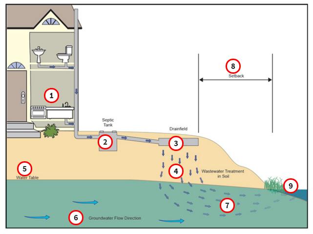 سیستم های سپتیک و آب های سطحی