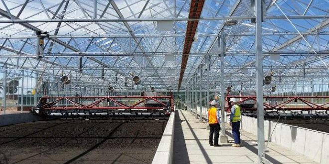 بستر لجن خشک کن خورشیدی