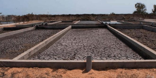 بستر خشک کن لجن